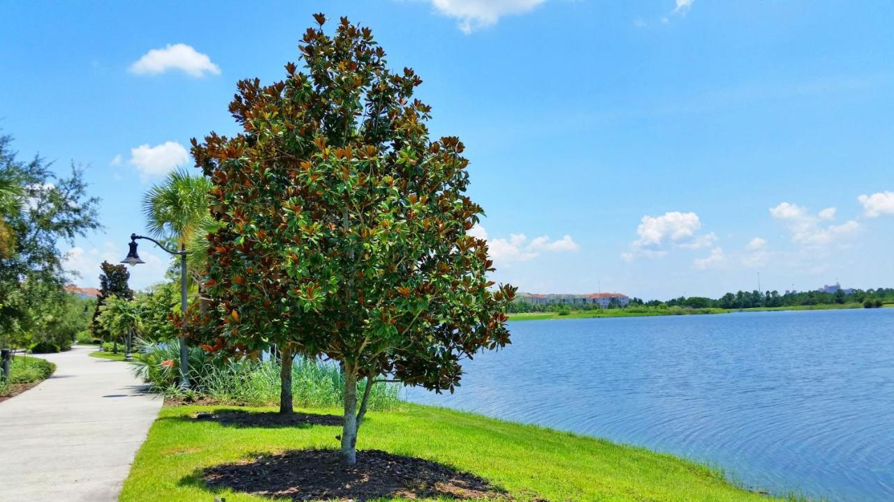 Gorgeous 1St-Floor, End Unit Condo W Lakeview Orlando Exteriör bild